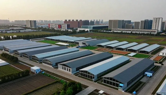 短视频营销策略中性能与适用条件的精准匹配